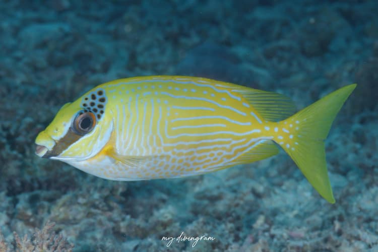 2023年の振り返りと謝辞。