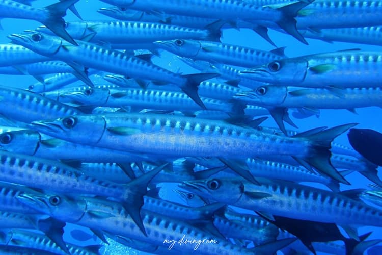 2024年の振り返り。